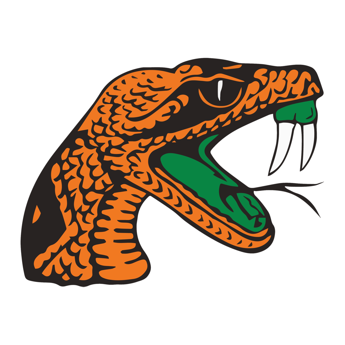 FAMU Rattlers